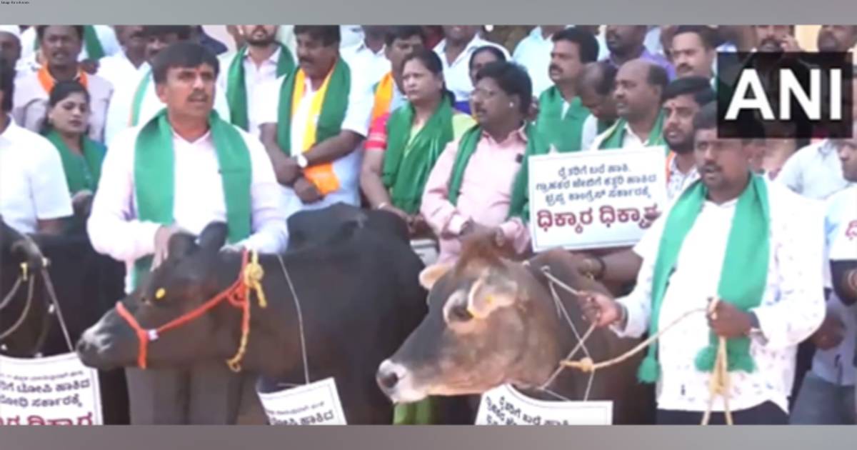 Karnataka: BJP workers bring cattle to Bengaluru protest, demand milk subsidies